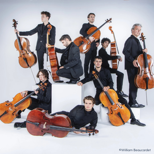 Cello8