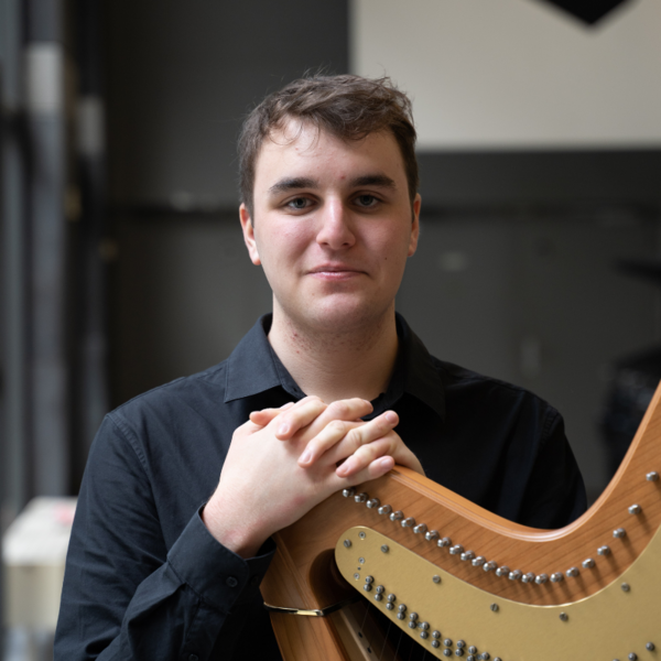 Vincent Amir-Tahmasseb, harpe