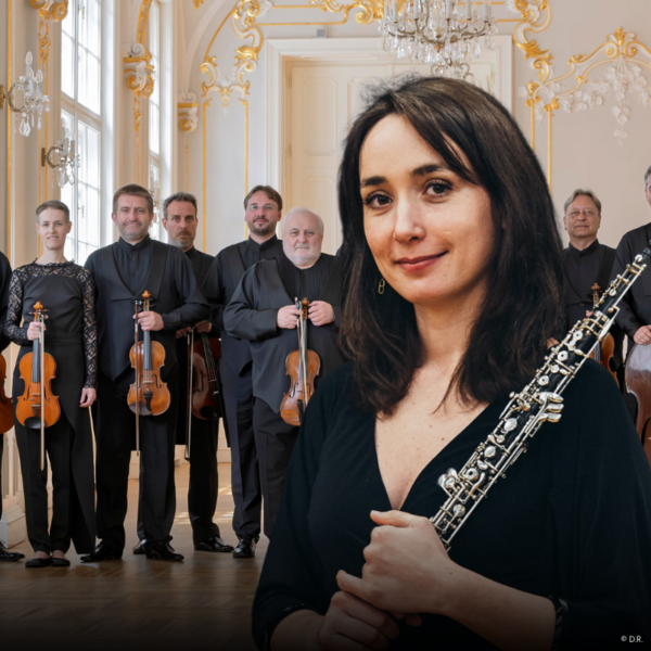 Orchestre de chambre de Slovaquie